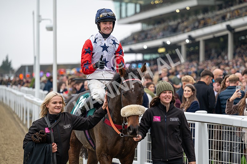151125-Race 2-Hung Jury-0787 - Race 2