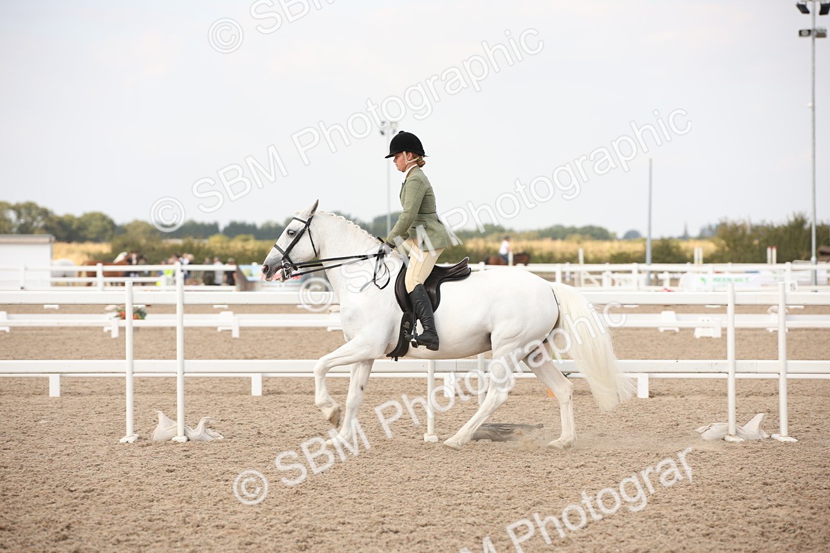 SBM_08795 - Class 12R Regional Ridden Pre-Vet