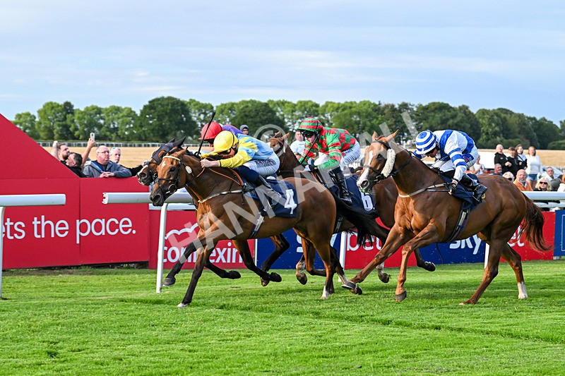 210725-Race 2-Without Flaw-6967 - Race 2