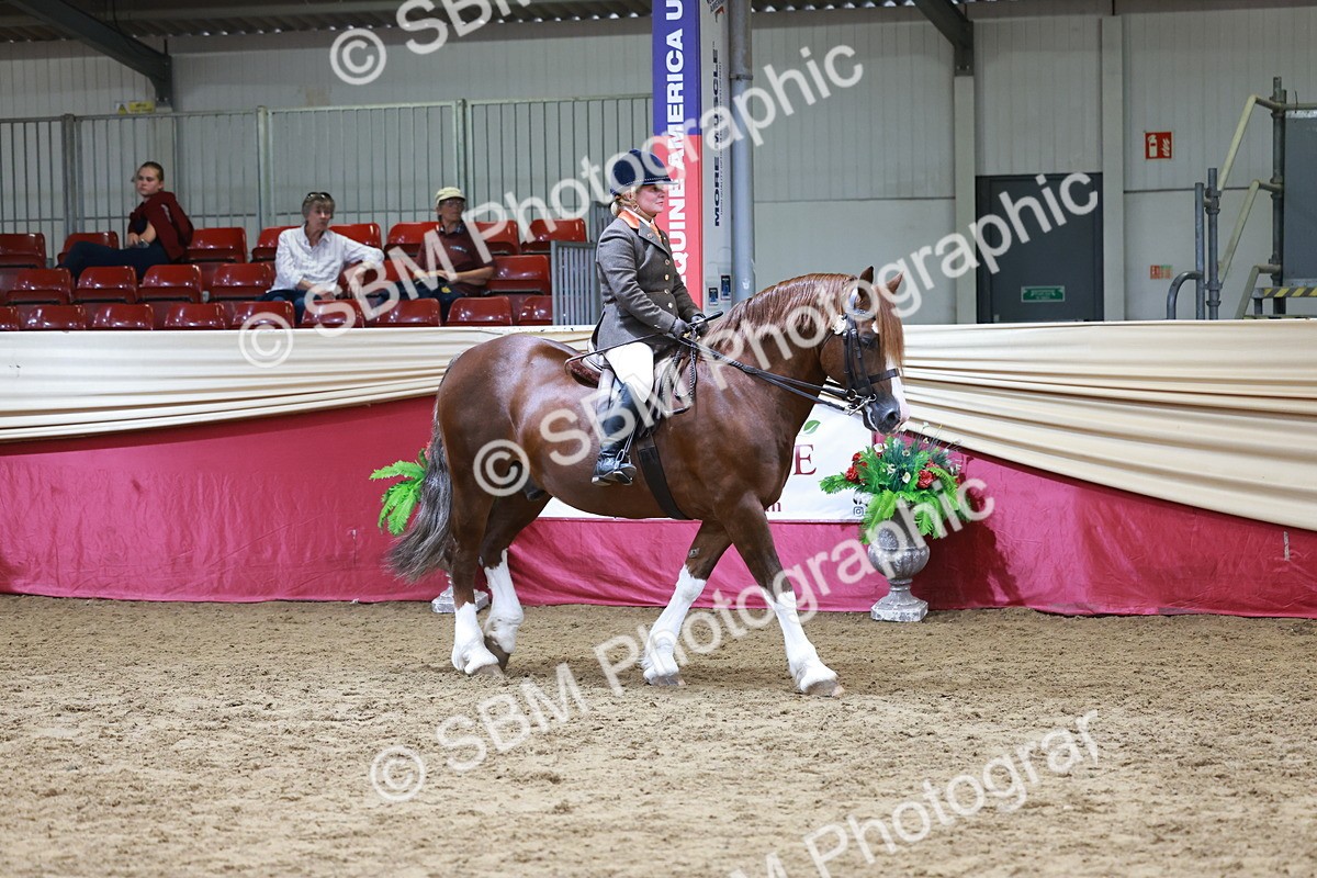 SBM_18680 - Class 952 - M&M Ridden Supreme Final