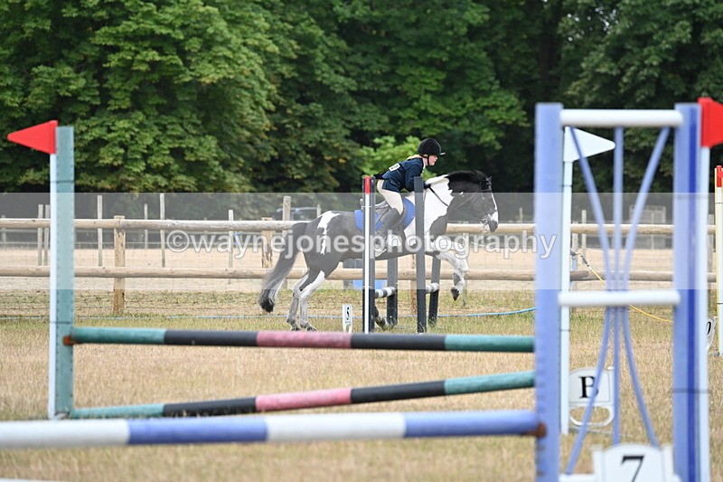WJ6_9949 - Class 13 Novice Jumping 60cm