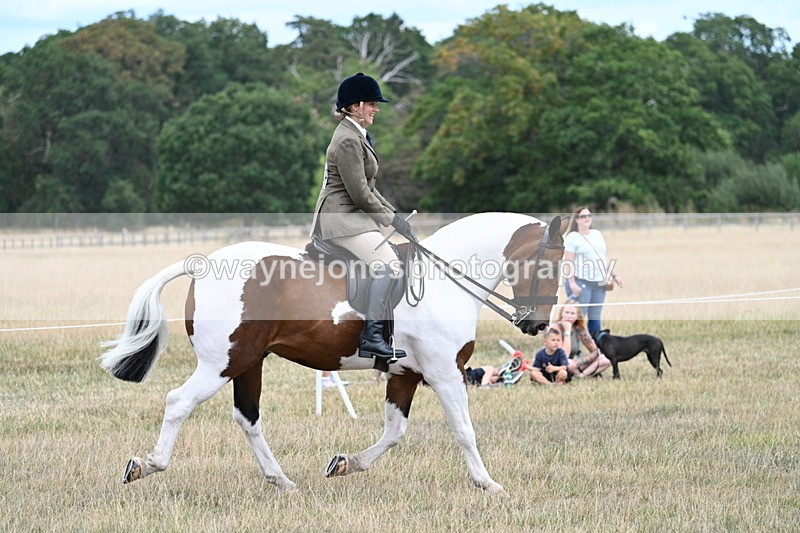 WJ7_4866 - Class 12 Ridden Cob