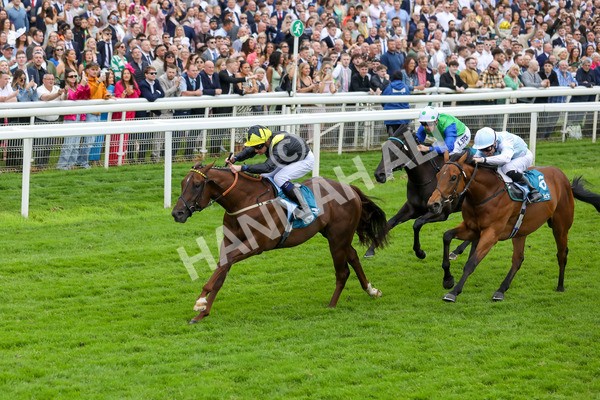 250524-Race 2-Arabie-3021 - Race 2 2.10pm Reg Bond 'Always And Forever' EBF Restricted Novice Stakes