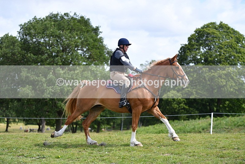 WJ5_6766 - Time 11:10 to 11:18