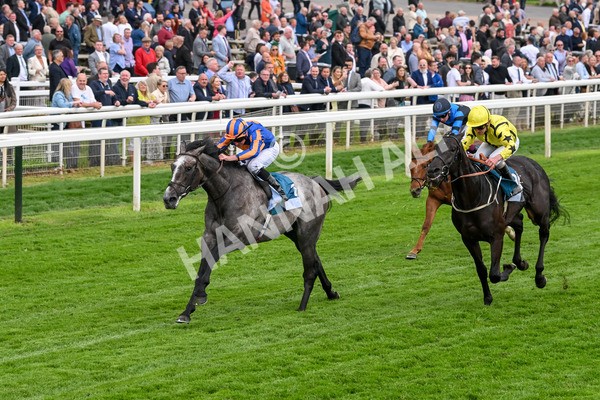 160524-Race 7-London City-6855 - Race 7 5.20pm Collective Green Energy Handicap