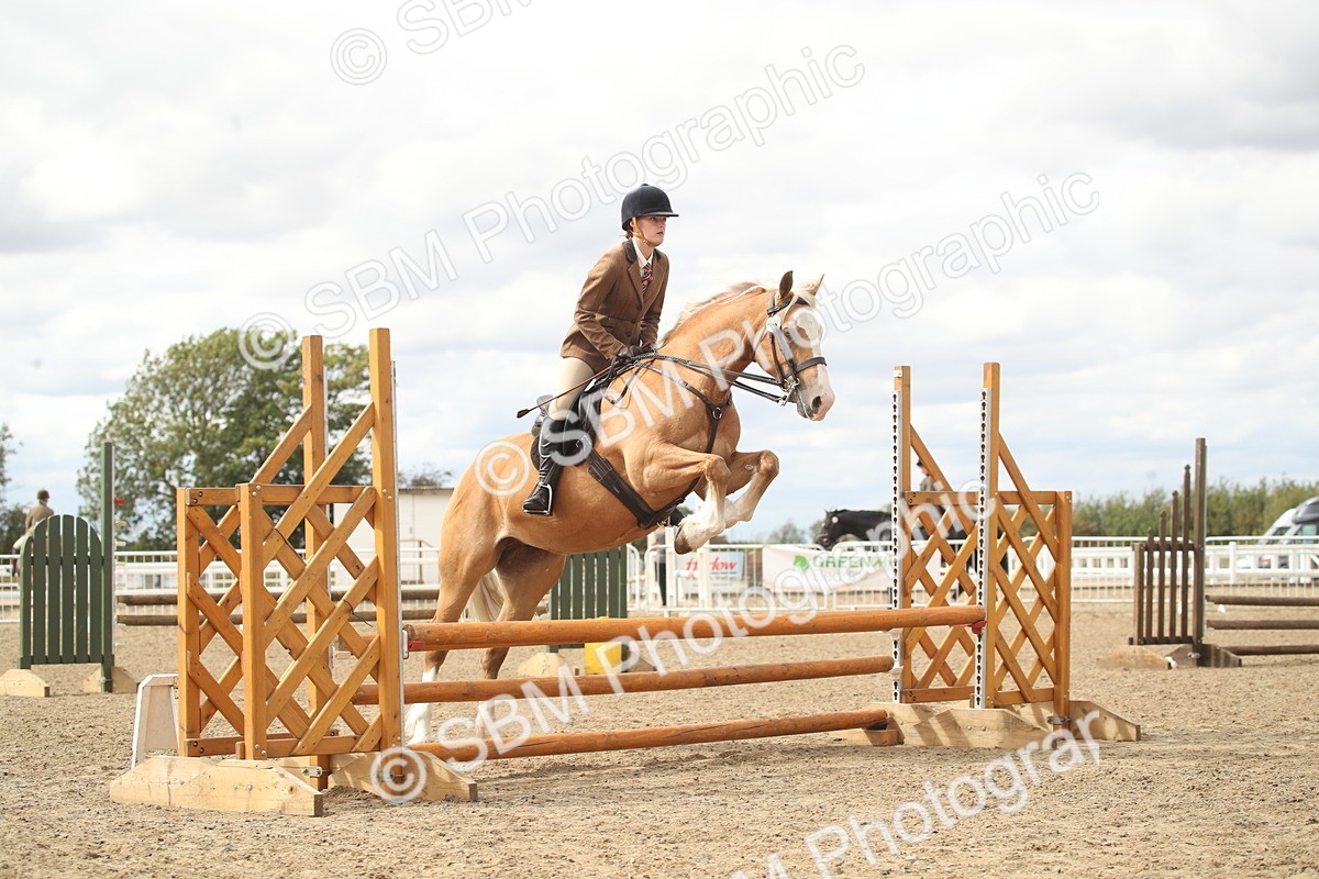 SBM_17670 - Class 508a - Working Veteran 70cm (15-19)