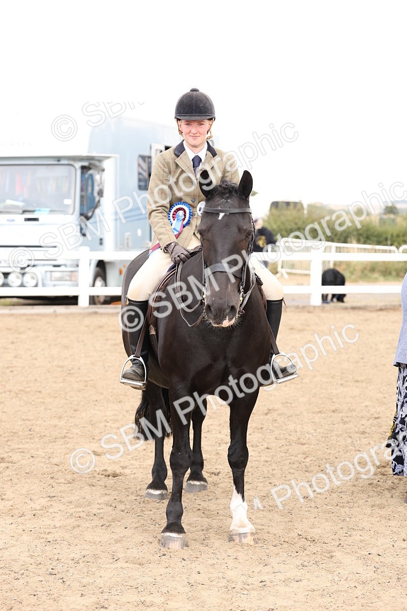 SBM_02946 - Class 53 - Ridden Competition Horse/Pony