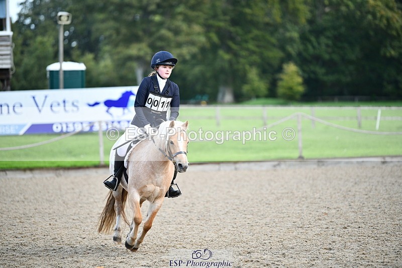 251004A-101317-00399 - Classes 1-2-3 40cm