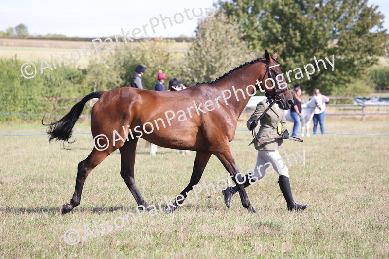 20260906-0742 - Class 22 - Ex Racehorse