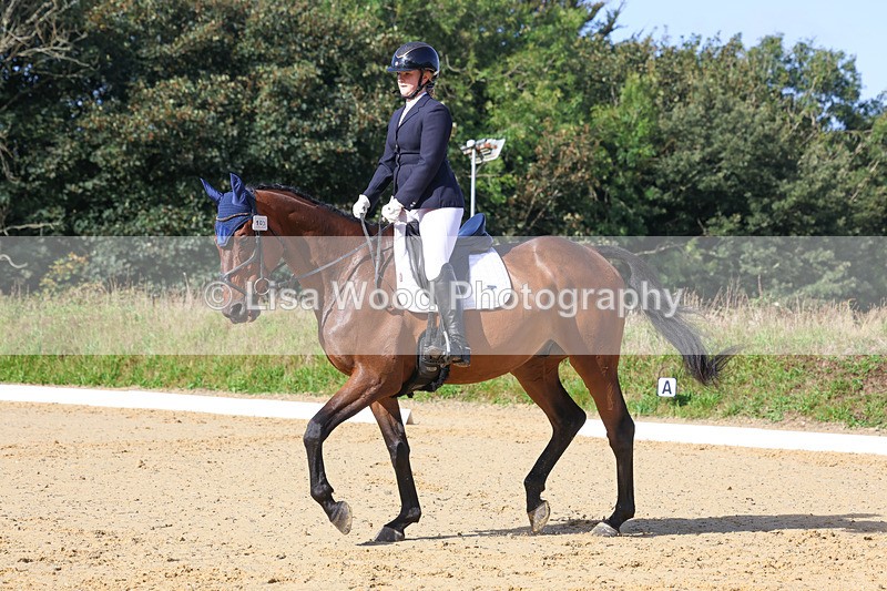 3E7A2540 - Class 1: Intro 4 2024 section A