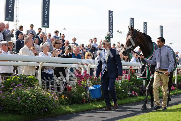 yr18082021r4-174 - Race 4 3.35pm Juddmonte International Stakes (British Champion Series race)