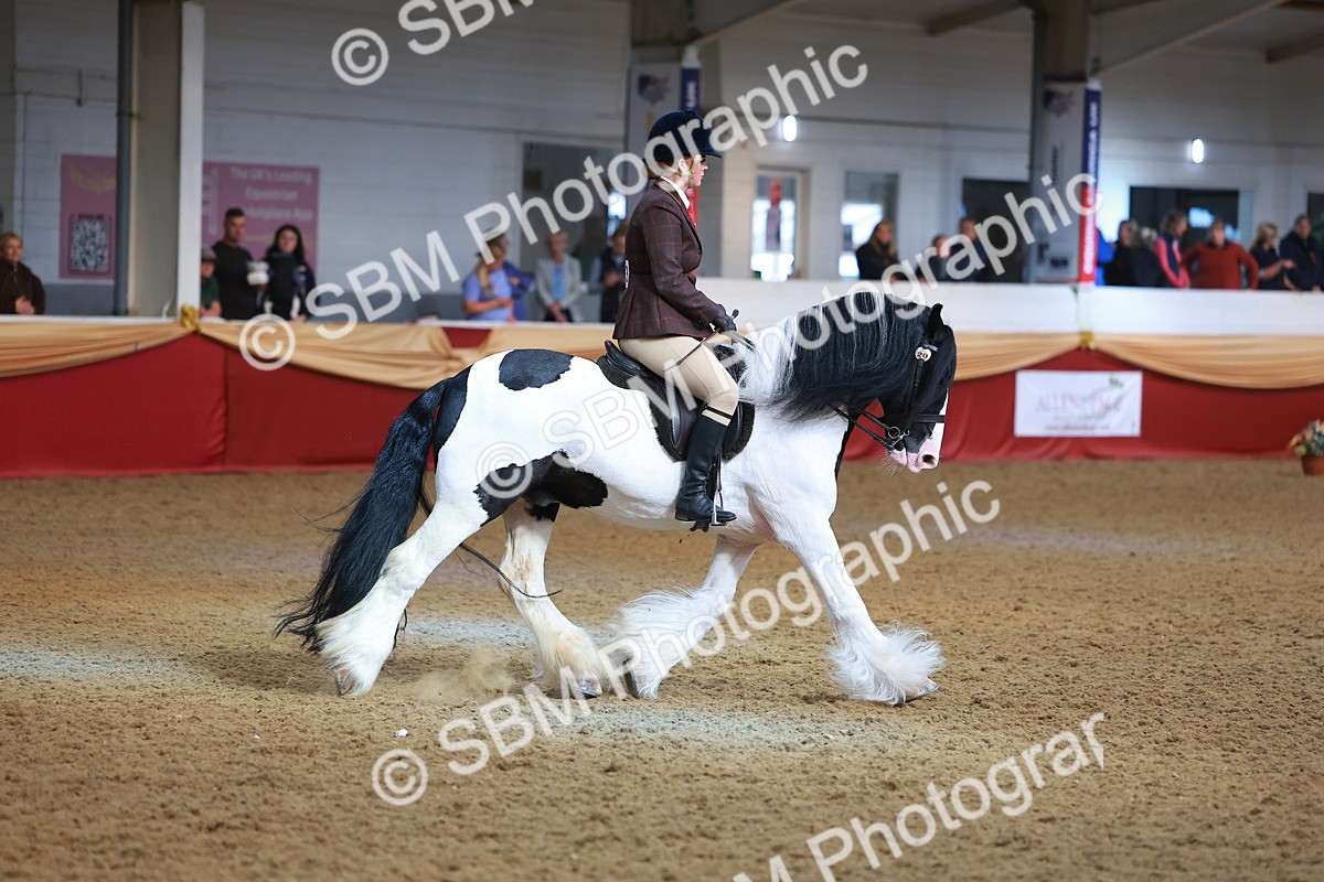 SBM_09749 - Class 102 - HOYS Veteran Qualifier - Ridden Veteran