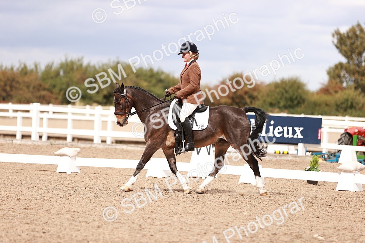 SBM_06227 - Class 37 - Novice 5