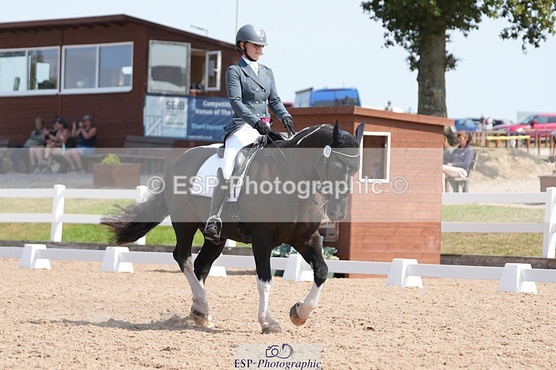 250817-122330-09026 - 163-Hannah.TownleyThe.Domino.Effect