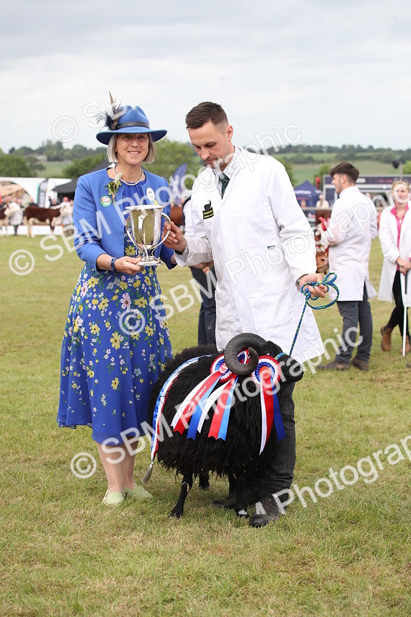 SBM_07892 - Grand Parade