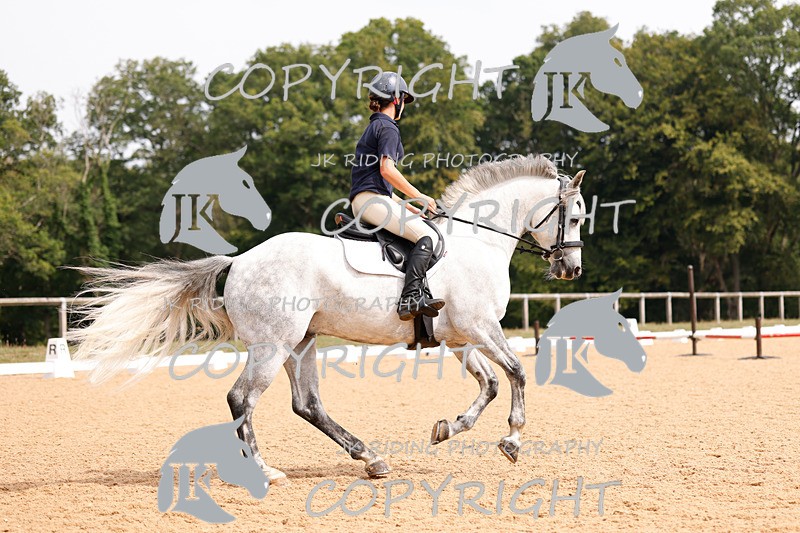 _R6A2785 - Dressage Morning