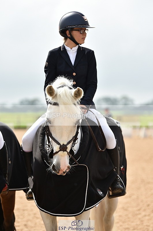 230902A-120232-00900 - Cls 2B Pony Small 80cm