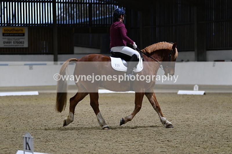 WJ5_8628 - Class 5 Novice Test 3
