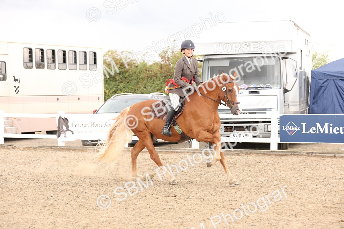 SBM_07523 - Class 59a -  Style & Performance - 80cm (15-19)