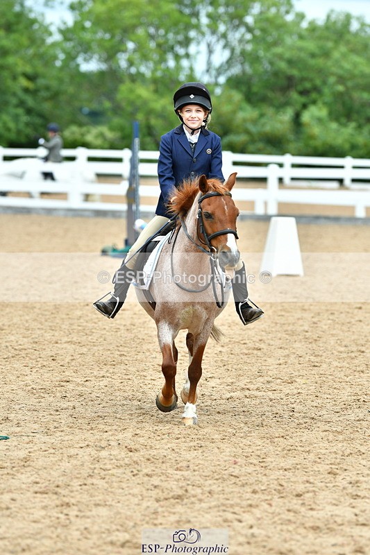 230804A-115907-02417 - Showjumping Competition