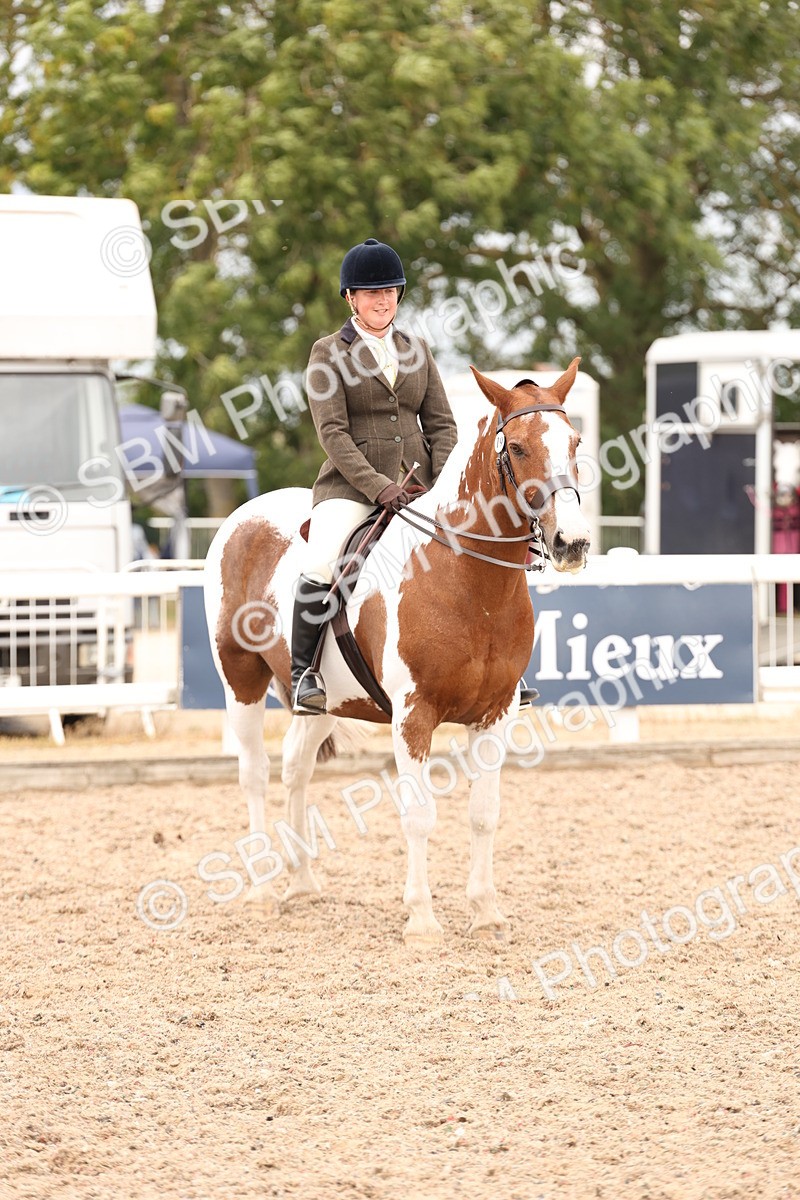 SBM_19581 - Class 215 - Ridden Show cob
