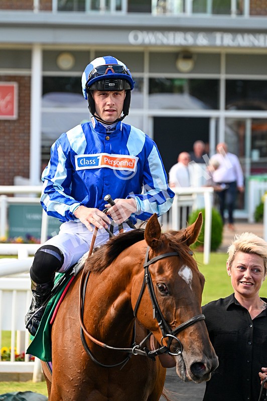310526-Race 2-Dazzling Haze-8461 - Race 2 16.15pm Flutter Proud To Support Young Lives Vs Cancer Handicap