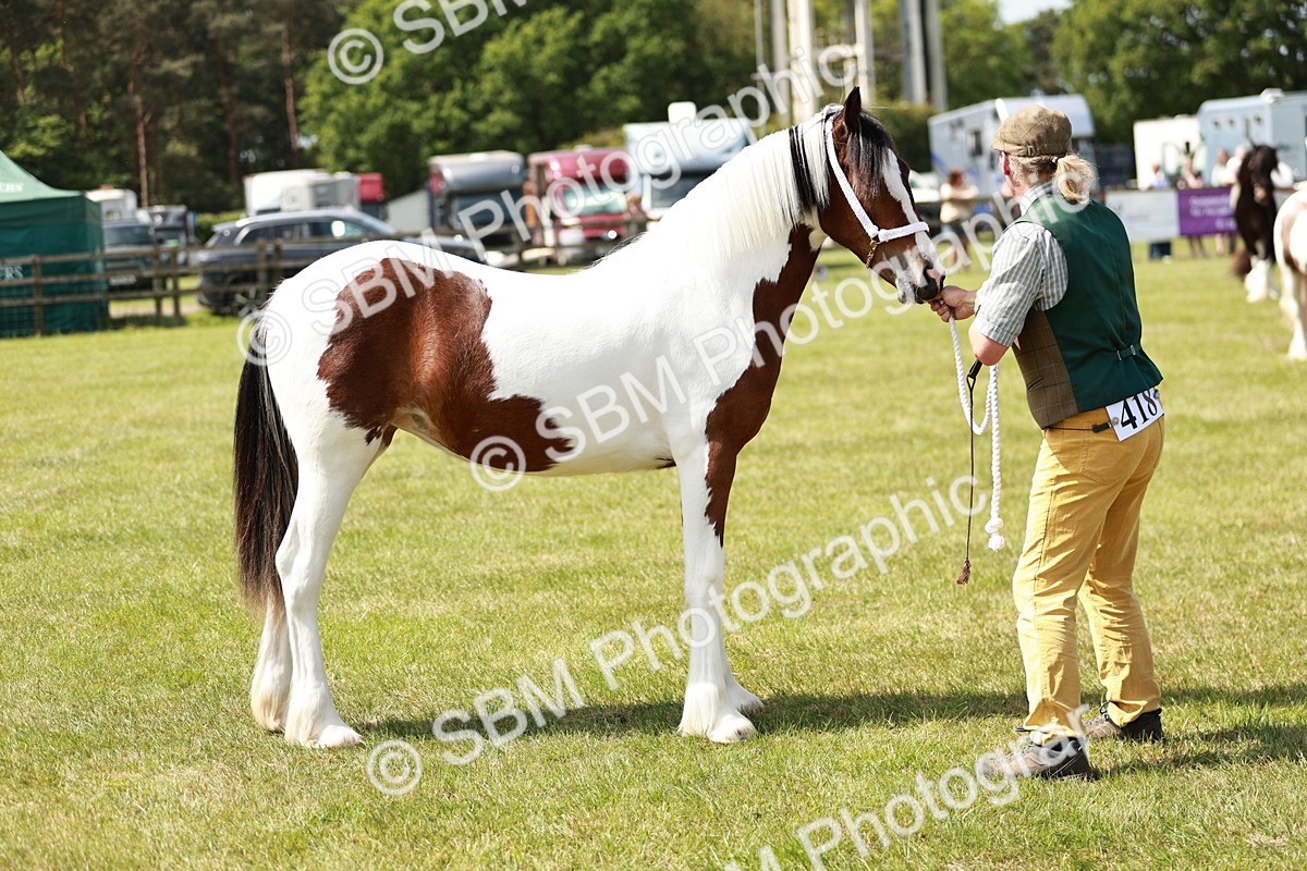 SBM_04190 - Class 39-40 - BSPA Coloured In Hand