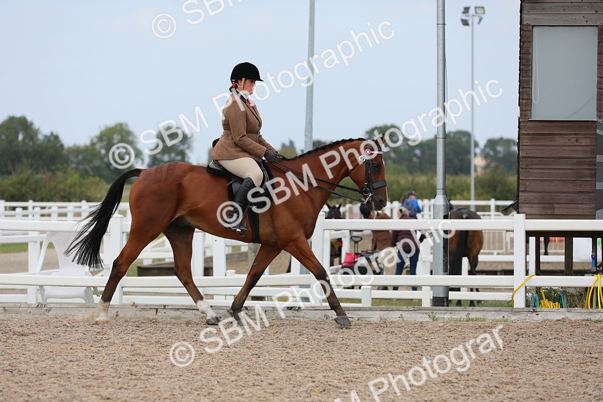 SBM_16855 - Class 314 Family Horse/Pony