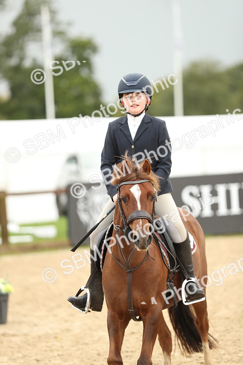 SBM_34233 - J60 Clear Round 50cm