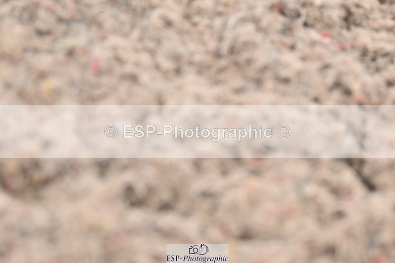 240622A-113317-09757 - Cls 34 BD Music Medium