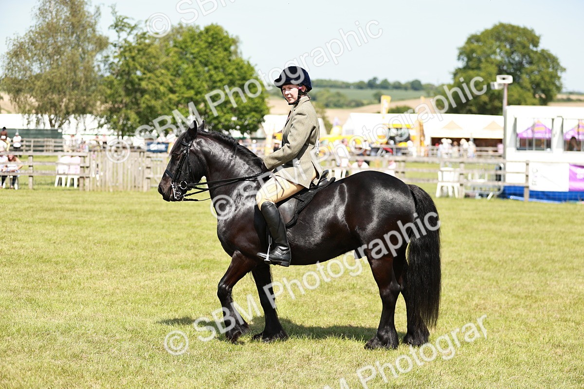 SBM_07129 - Class 26-30 - Mountain and Moorland Ridden