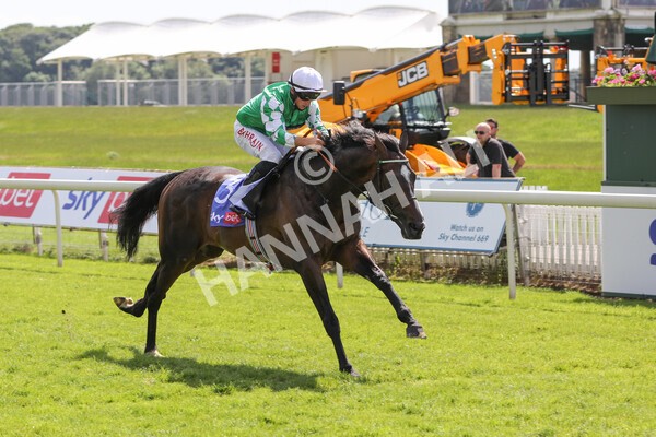 yr12062021r3-10 - Race 3 3.05pm Sky Bet Race to the Ebor Grand Cup