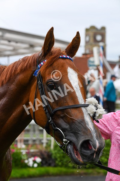 230823-Race 6-Designer-0854 - Race 6 4.45pm IRE Incentive, It Pays To Buy Irish Fillies' Handicap