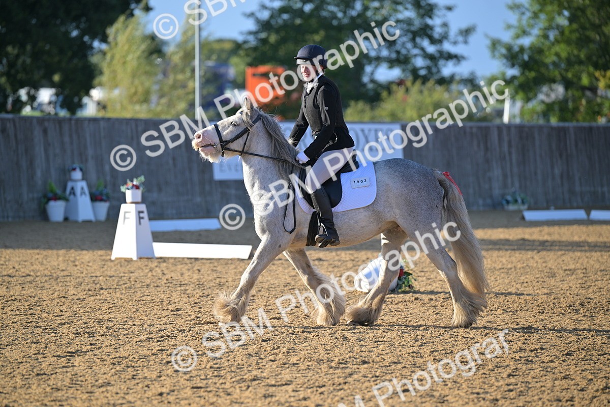 SBM_13142 - D3 - Small Tour Championship Intro 3