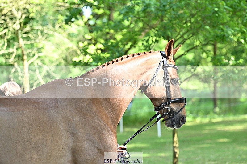 250521A-153749-00649 - B-370-Emma.Hyslop-Webb-KBS.TIME.TRAVEL