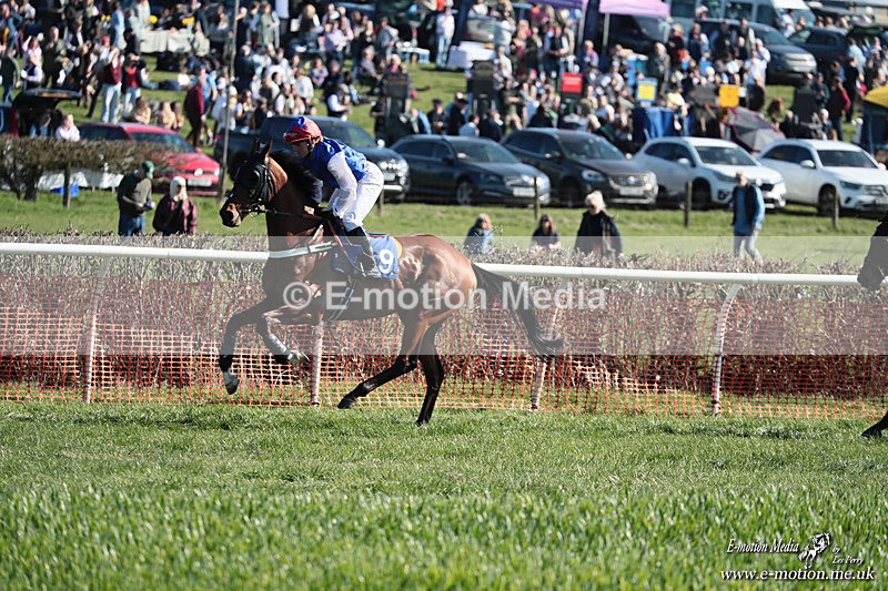 PtP 210326 273 - VWH Cirencester Races 21/03/26