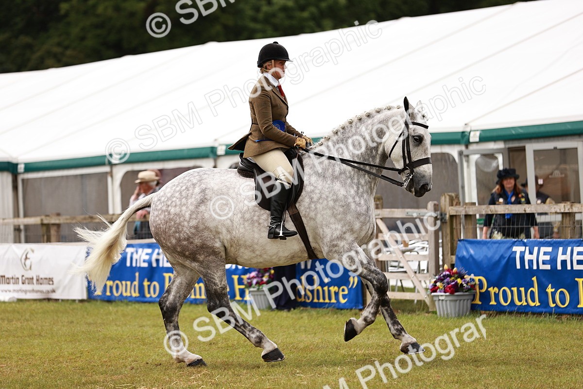 SBM_11556 - Class 81-84 - RIHS Ridden hunters Inc Ladies Hunter