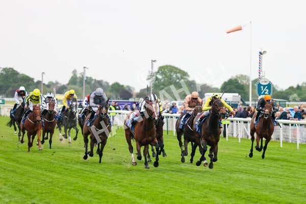 yr13052022r2-12 - Race 2 2.25pm Oaks Farm Stables Fillies' Stakes (registered as the Michael Seely Memorial Stakes)