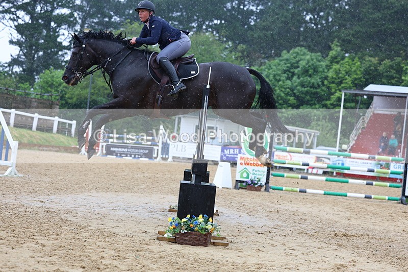 3E7A7361 - Class 8: Senior Foxhunter/1.20 open