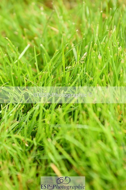 230514-095250-09355 - Cls 27 Snr 1.20m GP