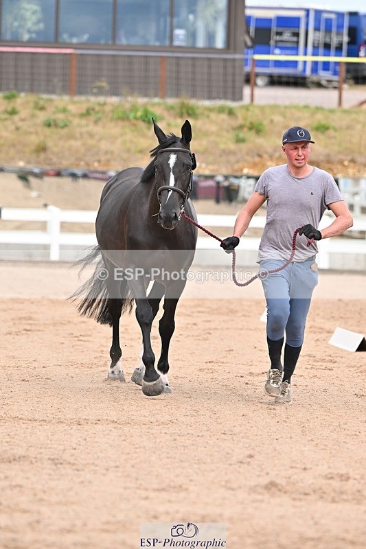 250716-162843-02640 - Trot Up 3.30 to 4.30