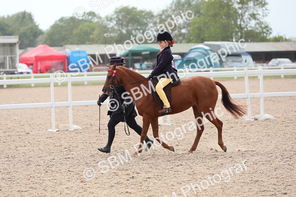 SBM_16903 - Class 314 Family Horse/Pony