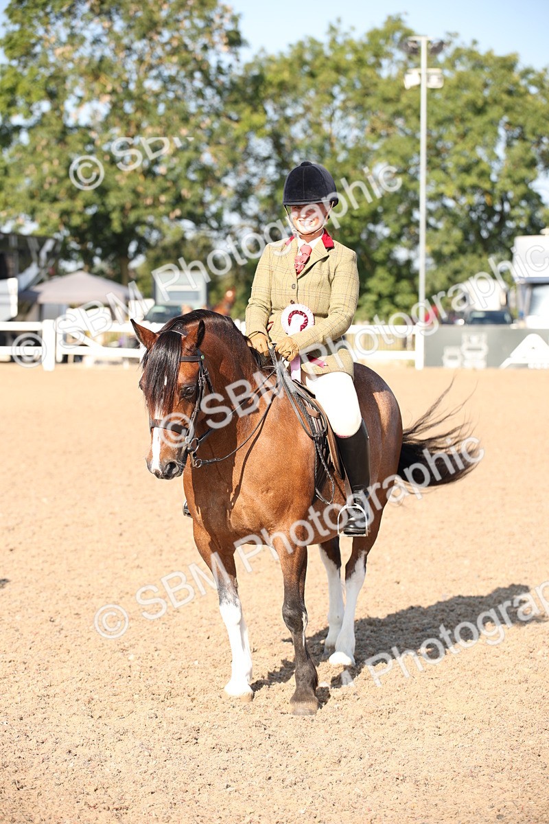 SBM_00775 - Class 14 Ridden M&M Wildcard