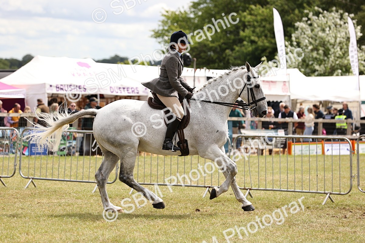 SBM_14663 - Class 88-89 - LIHS BSHA Rising Star of Ridden Hunter Type