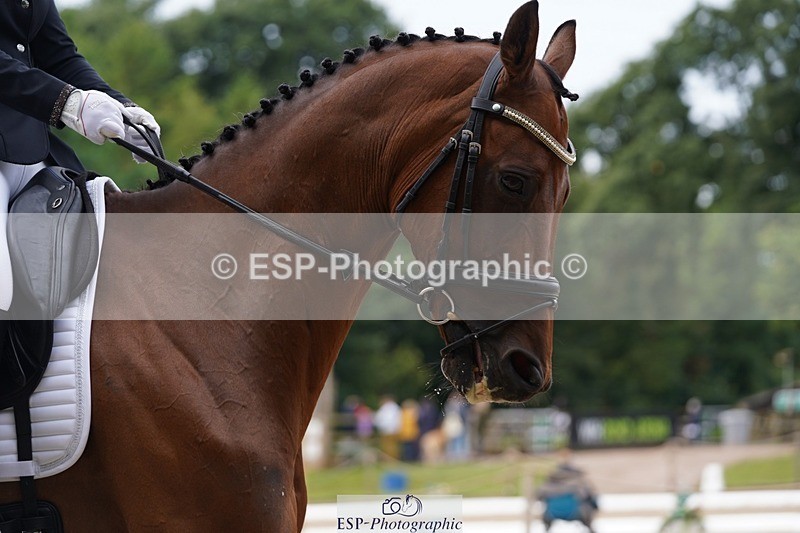 240721-104250-07666 - 127-Danielle_Thackray-Romanno_Maydream