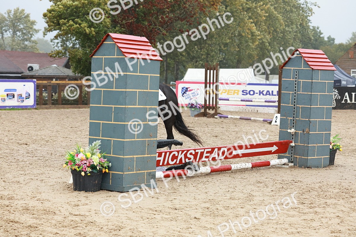 SBM_73424 - Supreme Championship Junior Pony 60cm & 65cm