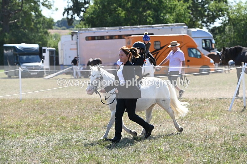 WJ6_7879 - Class 36 Lead Rein