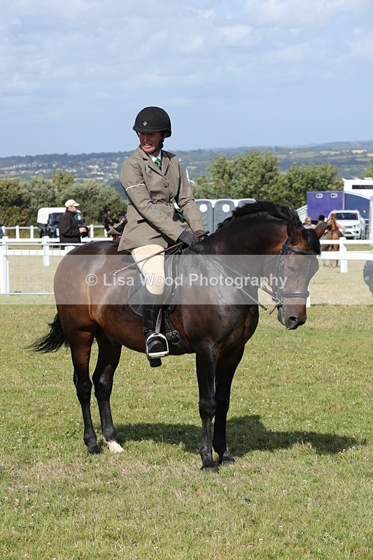 1X9A5884 - Class 41:. NPS New Forest & Connemara
