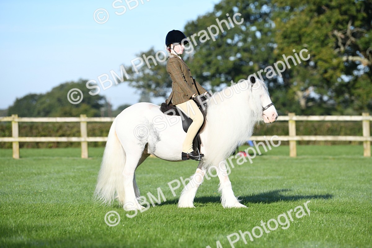 SBM_33912 - S16 - Condition & Turnout - Ridden