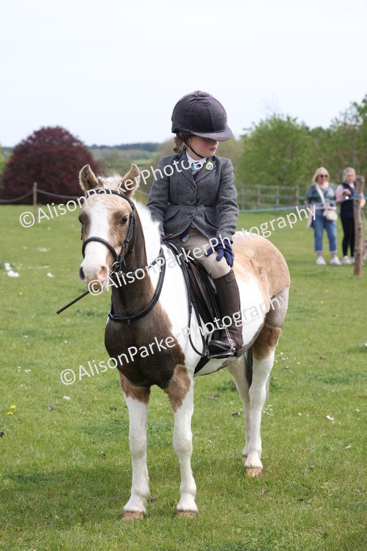20260426-3052 - Class 33 - Best Pony 14.2hh and Under